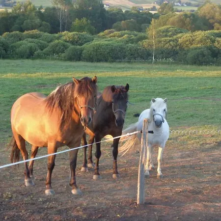One-bedroom In شقة برزنو